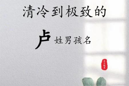 姓卢的文化象征与现代意义
