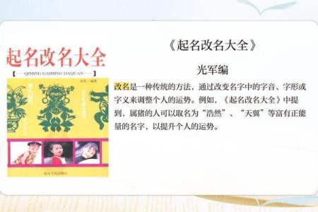 属猪的宝宝取名指南，助你选个吉利又有寓意的名字