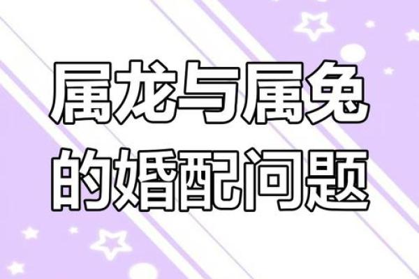 从生肖角度看男龙女兔婚姻的 compatibility