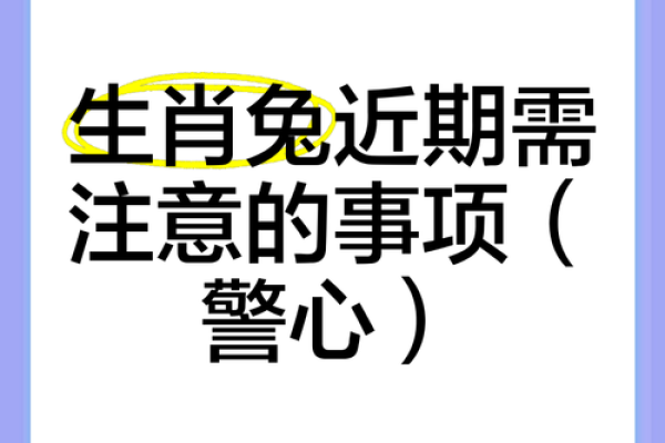 从生肖角度看男龙女兔婚姻的 compatibility