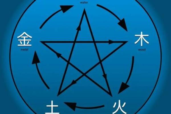 探秘煗五行：五行调和让你运势倍增