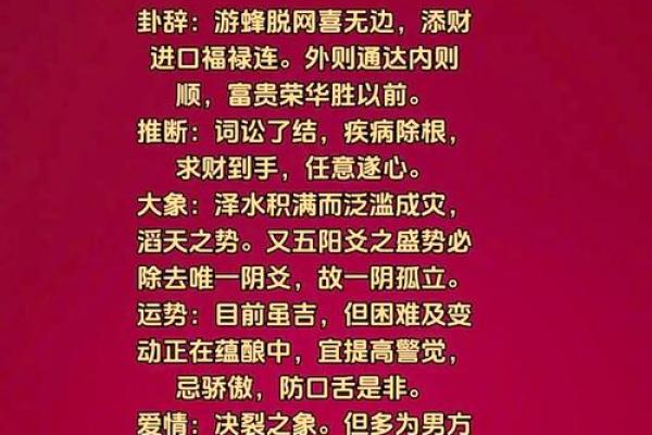 探秘煗五行：五行调和让你运势倍增
