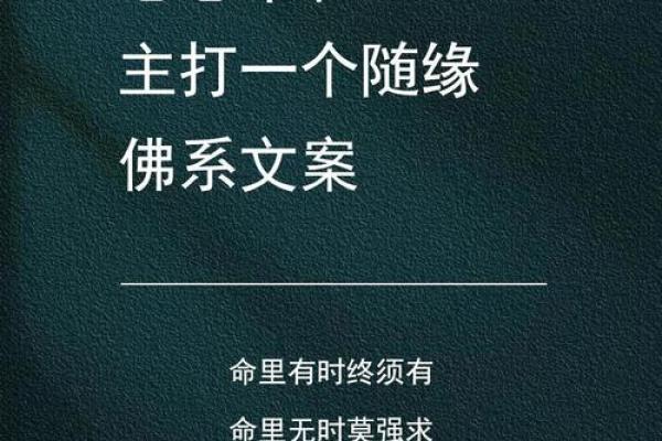 佛系名字的独特魅力与深层寓意探讨