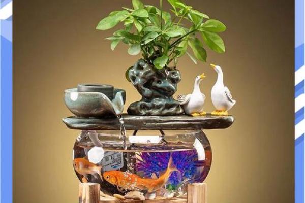 办公室养金鱼的最佳位置与风水效果