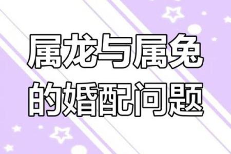 从生肖角度看男龙女兔婚姻的 compatibility