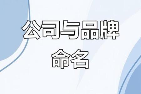 起名药业有限公司：专业药品生产企业，成就行业领导者