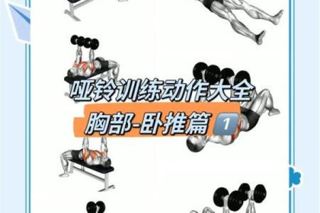 八字胸肌训练法，助你打造完美胸部线条