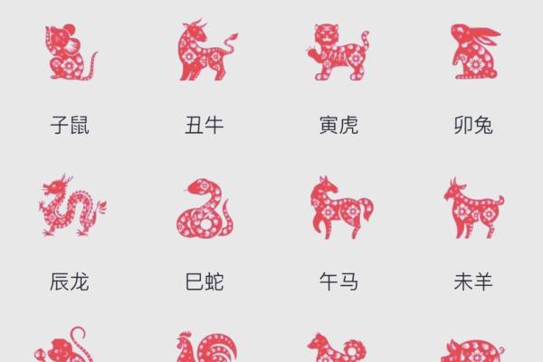 羊男本命年要注意什么样的健康信号