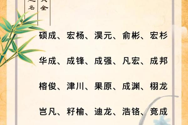 如何为宝宝起个既独特又悦耳的名字
