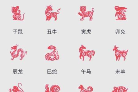 羊男本命年要注意什么样的健康信号
