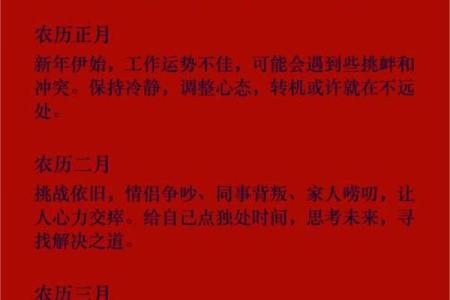 冬月出生的人命运解析与性格特点