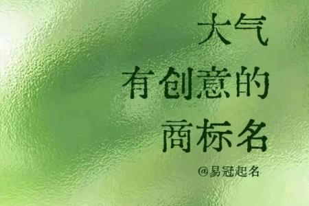 公司起名创意：如何让“瓜”成为品牌的一部分