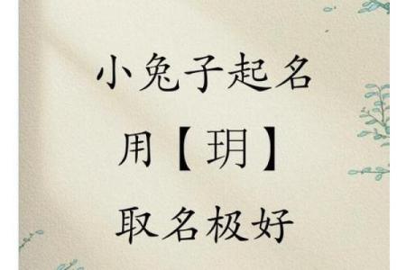 玥字在现代名字中的流行趋势与解析