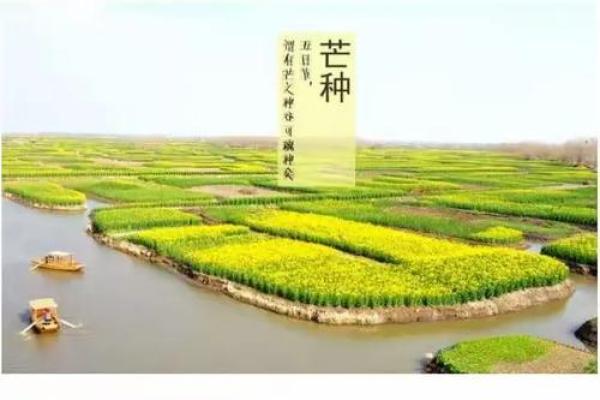 花神命的特征和性格解析