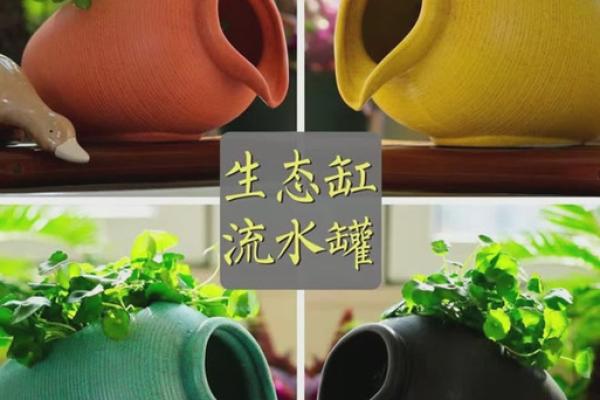 陶罐与风水：打造家居财运的完美搭配