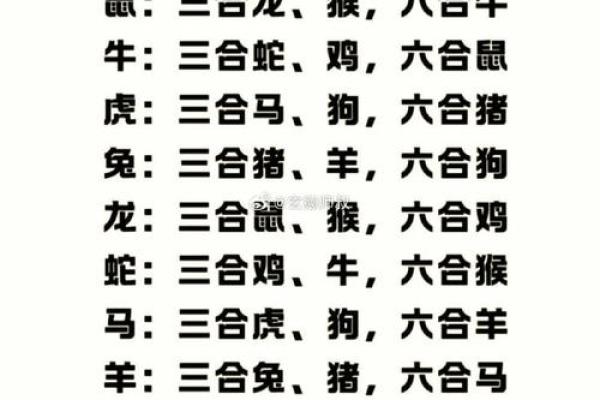 从风水角度看蛇鼠是否相配