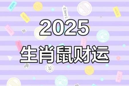 属鼠的财富运势如何