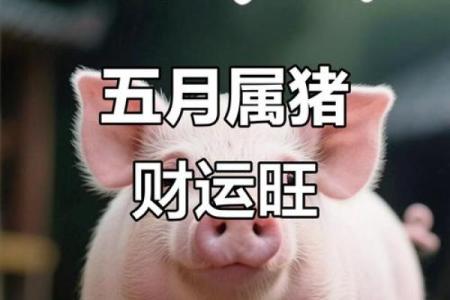 属猪运程预测：出生的人要注意什么
