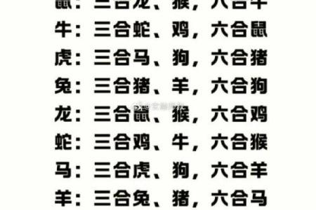 从风水角度看蛇鼠是否相配