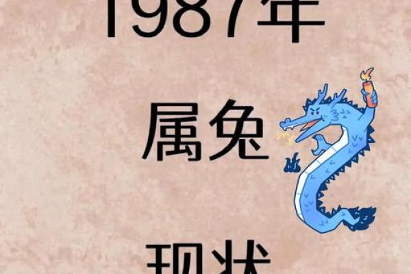 本命年属兔如何克服生活中的困境