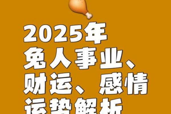 本命年属兔如何克服生活中的困境