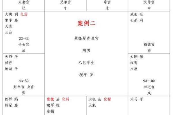 从紫微命盘中读懂未来：命运的深层解析