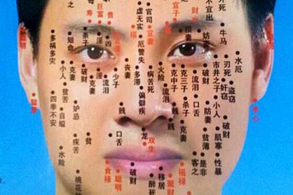 曲炜八字分析：从命运轨迹看他的人生起伏