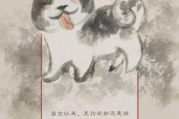 数字的力量：属相与个人运程的深度解析