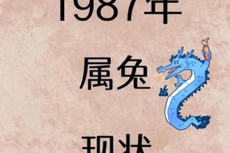 本命年属兔如何克服生活中的困境