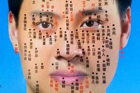 曲炜八字分析：从命运轨迹看他的人生起伏