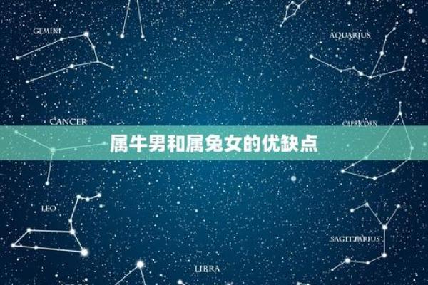 属兔与属牛的婚姻配对：优缺点分析