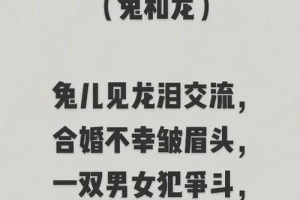 属兔和属兔在性格上的契合度