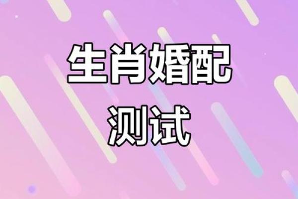 属兔和属兔在性格上的契合度