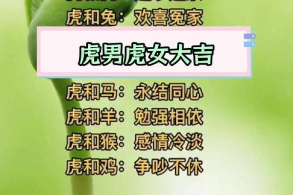 属猪男和属虎女的爱情能否长久