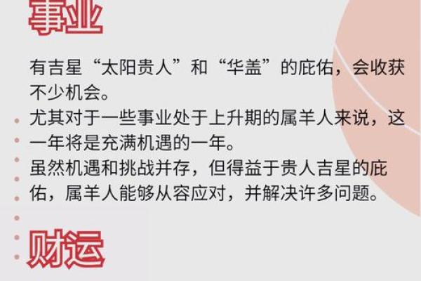 本命年属羊人如何顺利度过财运低谷