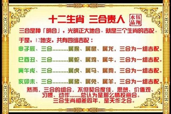 属猴的狗年出生者在的健康运势指南