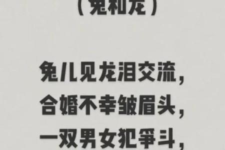 属兔和属兔在性格上的契合度