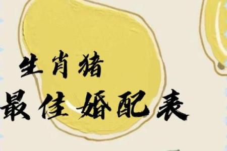 属猪男和属虎女的爱情能否长久