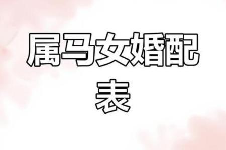 属马的名字寓意与选择指南