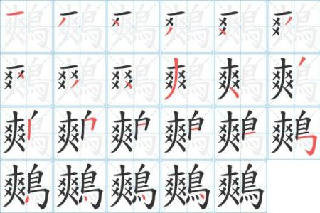 馡字五行属性解析：它到底属于哪个元素？