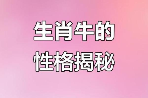 属牛男与属龙女的性格契合度分析