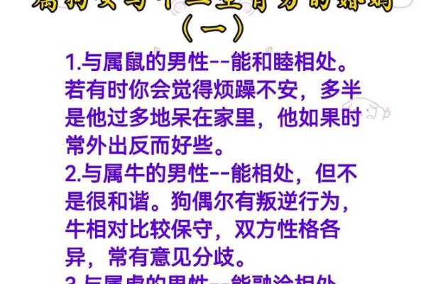 属牛男与属龙女的性格契合度分析