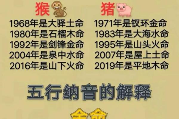 海中金命是什么生肖及其命理特点解析