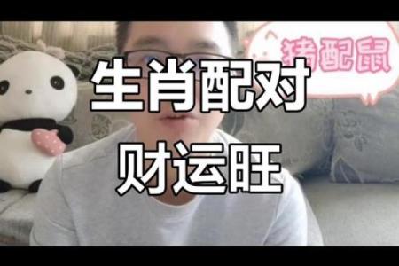 老鼠和猪的性格搭配分析：是否合适？