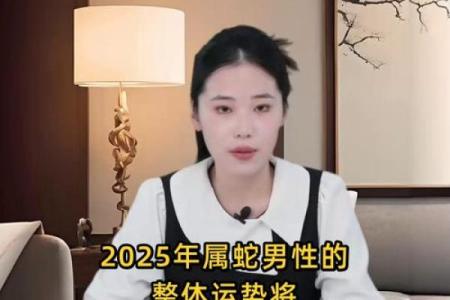 本命年蛇男如何走出感情困境
