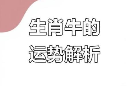 属牛生人运势透视：如何保持事业稳步上升