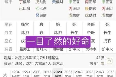 学会八字入门，掌握命运的第一步！