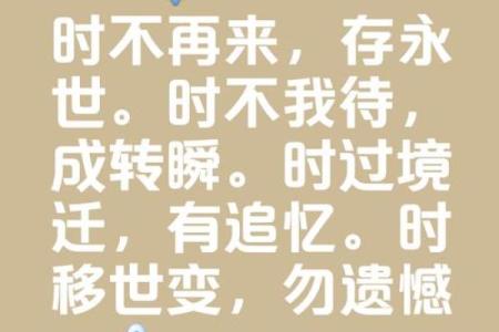 1990年11月：回首往昔，那些不朽的瞬间