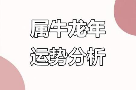 牛人运势解析，财运与感情全方位剖析
