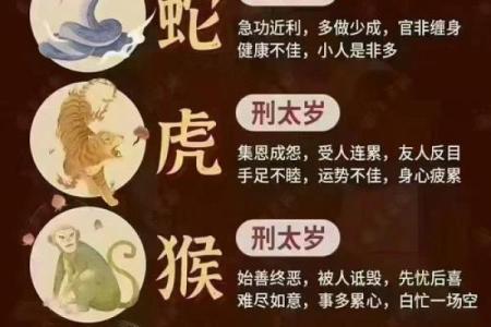 鼠男本命年如何打破过去的瓶颈